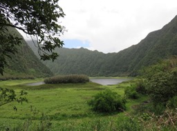 Grand Etang 