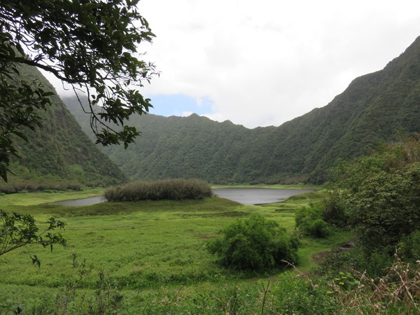Grand Etang 