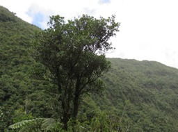 IMG_0494