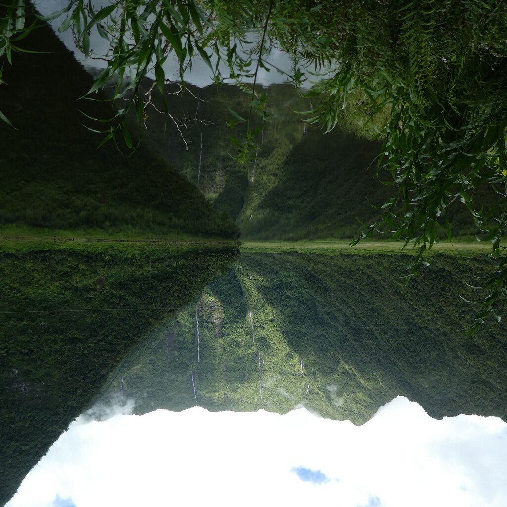 Grand Etang