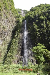 DSC_2930