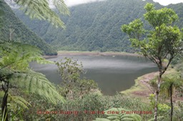 Grand Etang