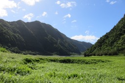 IMG_4208
