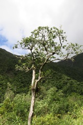 IMG 4214