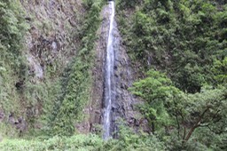 IMG_4228