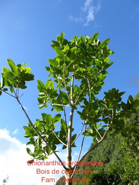 P1000161