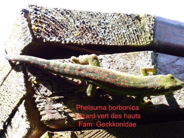 P1000167