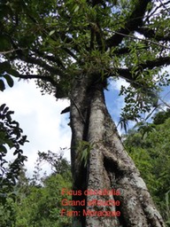 P1000178