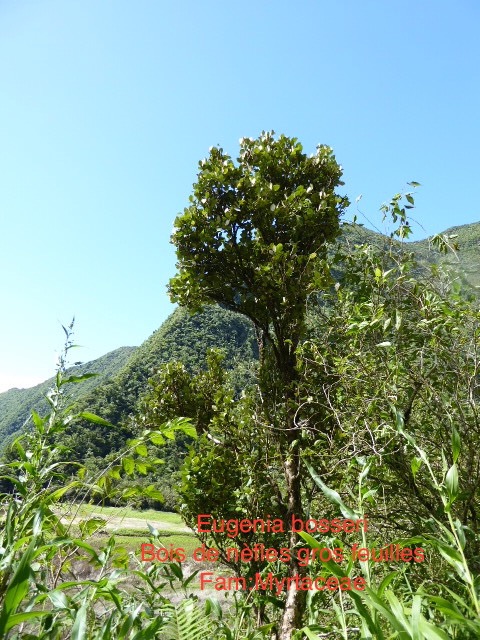 P1000179
