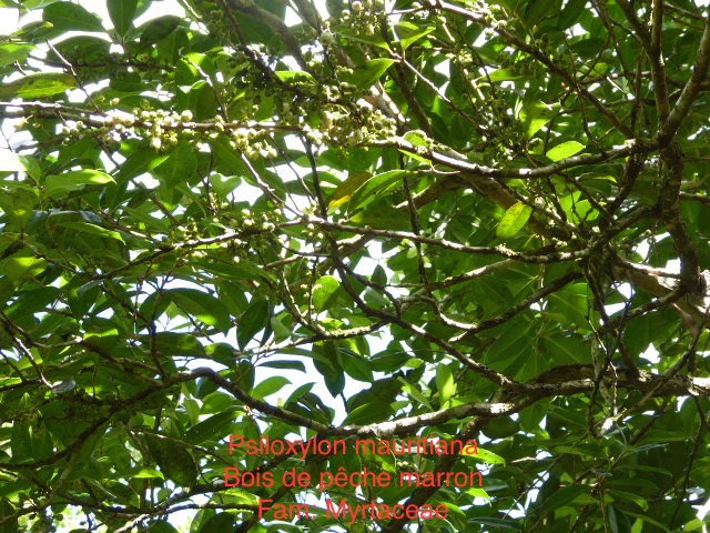 P1000184