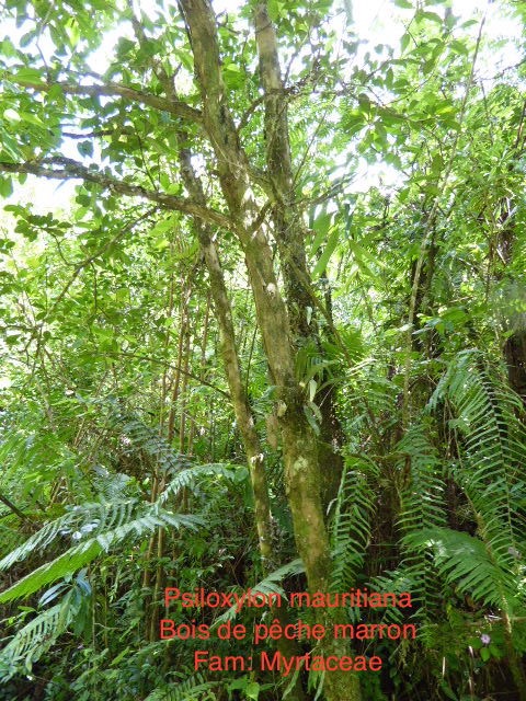 P1000185