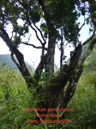 P1000191