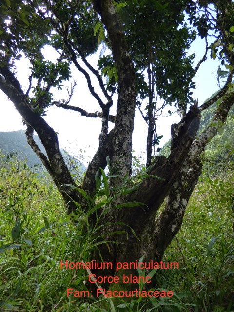P1000191