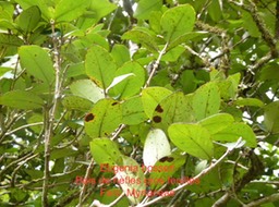 P1000212