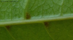 P1290924
