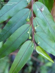 P1290975