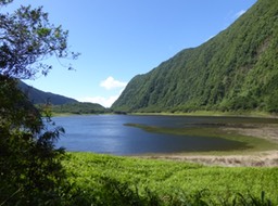 P1300013