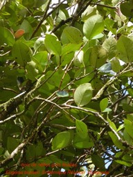 P1300233