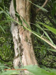 P1300235