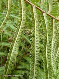 P1300257
