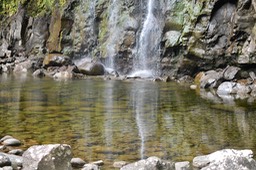 DSC_2396