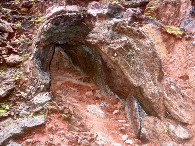 Tunnel IMG_4954