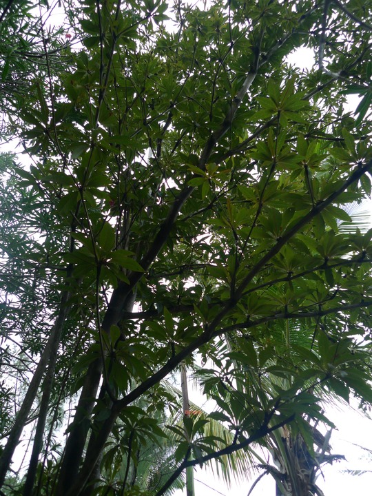 P1000574