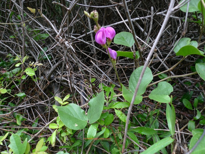P1000576