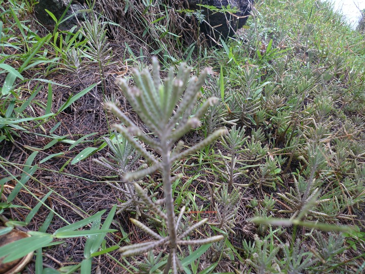 P1000579