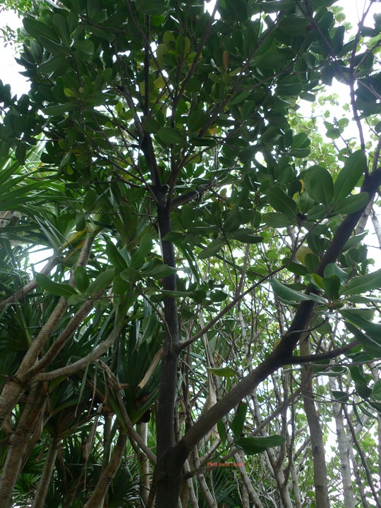 P1000580