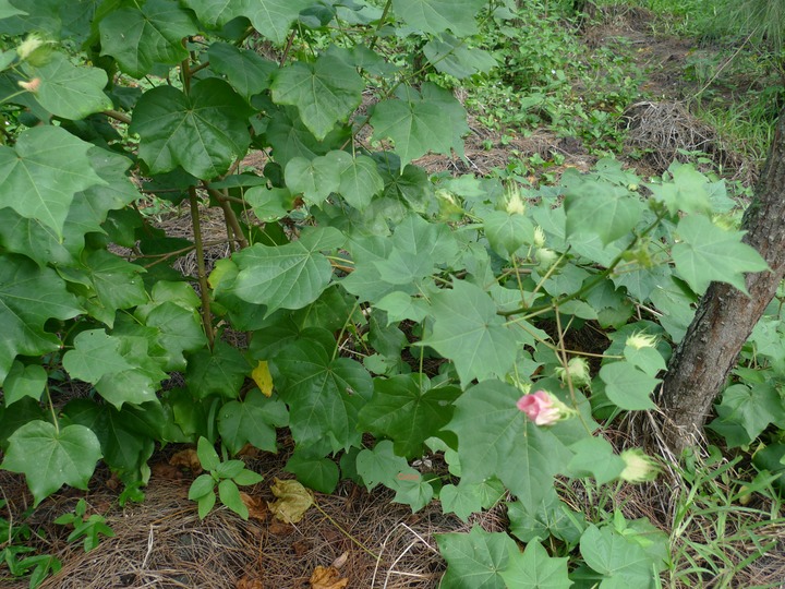 P1000584