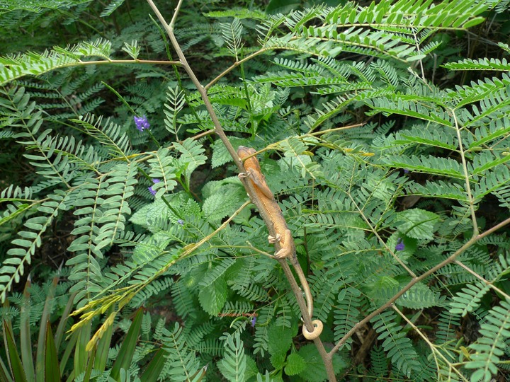 P1000590
