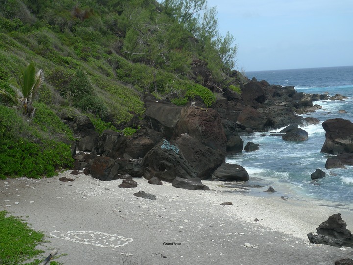 P1000593