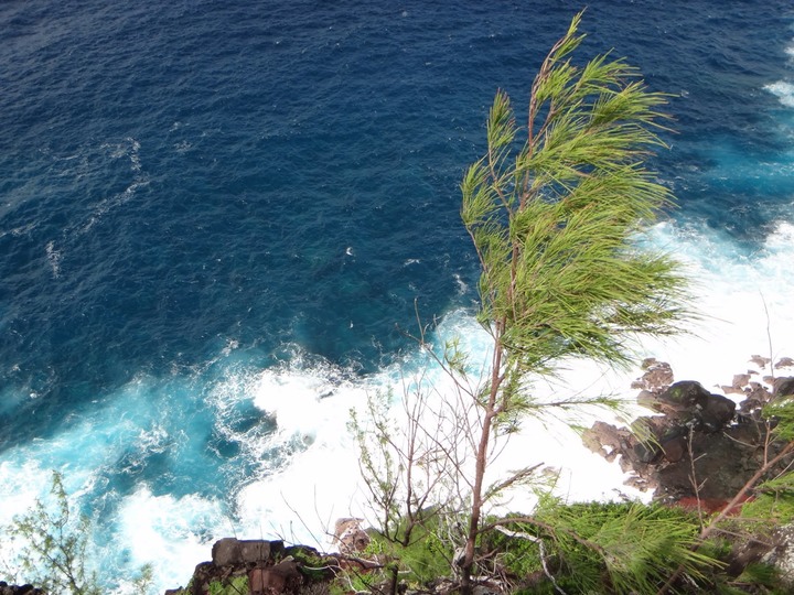 Site%2520de%2520grand%2520anse%2520%25281%2529
