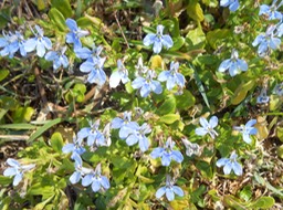 DSCN2118