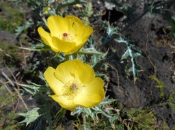 DSCN2150