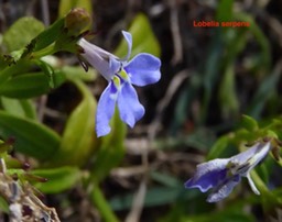 P1050454