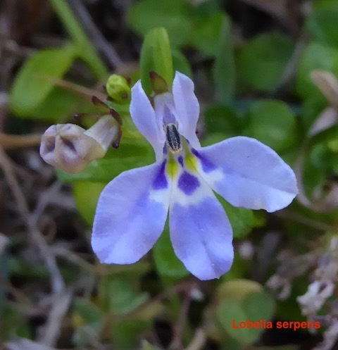 P1050458