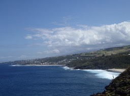 P1050490