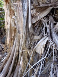 P1050528