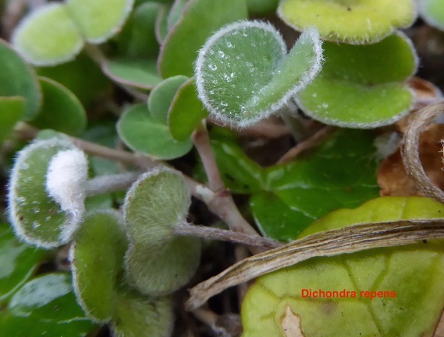 P1050555