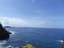 P1380833