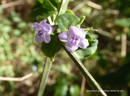 P1380897