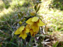 P1380903