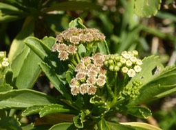 P1390017
