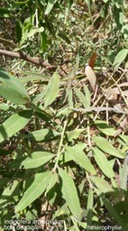P1390214