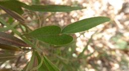 P1390230