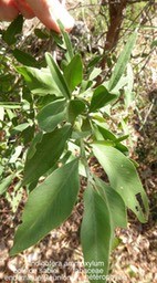P1390238