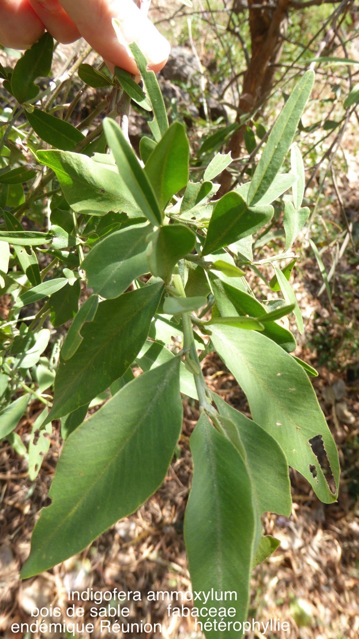 P1390238