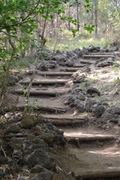 Sentier Piton Grande Anse